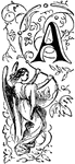 An illustration of a decorative letter A with an angel holding a vine underneath.