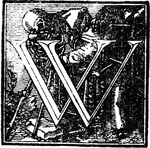 This letter W is enclosed in a box with a background design of a human skeleton.