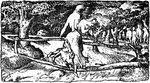 The Flood is an engraving on a wood block that was created by Edward Calvert, an English printmaker during the 19th century. It shows people escaping a flood.