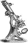 An illustration of a binocular microscope.