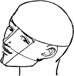 This is a side profile of a male face that is tilted forwards.