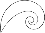 A Logarithmic Spiral French curve, or irregular curve, is used to draw short elliptical radius curves by using points. The log curve is approximately closely shaped to a cycloid and other mathematical curves.