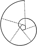 "An involute is a curve generated by unwrapping an inflexible chord from around a polygon. Thus the involute of any polygon may be drawn by extending its sides, and with the corners of the polygon as successive centers drawing the tangent arcs." &mdash;French, 1911