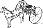 To properly place the hitch, position your harnessed horse with room on either side. Bring your carriage up from behind pulling it by the shafts. Attach trace to the carriage, threading them between girth and belly band. Tighten girth , and take the reins without letting go and climb on.
