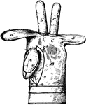 A glove is a garment covering the hand. Gloves have separate sheaths or openings for each finger and the thumb. Fingerless gloves with one large opening rather than individual openings for each finger are sometimes called gauntlets. Gloves which cover the entire hand but do not have separate finger openings or sheaths are called mittens. Mittens are warmer than gloves made of the same material because fingers maintain their warmth better when they are in contact with each other. Reduced surface area reduces heat loss.