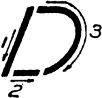 The diagram demonstrates proper strokes for writing Inclined Capital letter D.