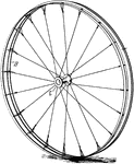 A wheel is a circular device that is capable of rotating on its axis, facilitating movement and transportation.
