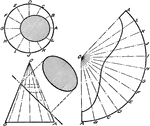 A rolled out image of a cone by dividing the base in equal parts and arcs to measure the true lengths.