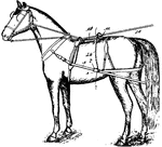 This is a detachable harness type of horse tack that allows a horse or other equine to pull various horse-drawn vehicles such as a carriage, wagon or sleigh. Harnesses may also be used to hitch animals to other loads such as a plow or canal boat.