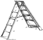 A ladder is a vertical or inclined set of rungs or steps. There are two types: rigid ladders that can be leaned against a vertical surface such as a wall, and rope ladders that are hung from the top.
