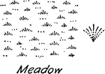 A conventional topography vegetation symbol for meadow used in map drawing and drafting.
