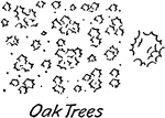A conventional oak tree vegetation symbol used in map drawing and drafting.
