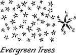 A vegetation Everglade tree for topography symbol used in map drawing and drafting.