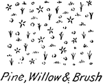 Conventional vegetation topography symbol for pine, willow and brush.