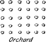 A conventional vegetation topography for orchard commonly used in map drawing and drafting.