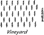 A common topography vegetation symbol for vineyard used in map making and drafting.