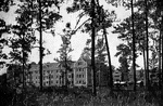 Early pictures of the University of Florida in Gainesville