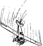 The airplane is flying with the elevator depressed and rudder turned to recover the plane to the upright position.