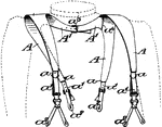 Suspenders or braces are fabric or leather straps worn over the shoulders to hold up trousers. Straps may be elasticized, either entirely or only at attachment ends and most straps are of woven cloth forming an X or Y shape at the back. Braces are typically attached to trousers with buttons using leather tabs at the ends or, incorrectly according to traditional protocol, clips.