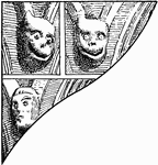 A series of grotesque faces from Gothic churches during fourteenth century. The grotesque faces were used to decorate the stone work on churches.