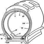 The illustration shows a cross sectional close up view of a straight side rim and tire. The metal piece clinches the rubber part of the tire with the liner inside to keep air in.