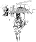 This umbrella is designed to protect against rain or sunlight.