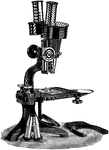 A Greenough's binocular light microscope. The microscope has two eyepieces to view the sample with both eyes. The mirror is used to provide a light source for the microscope by reflecting light.