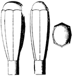 This is a perspective illustration of common tool handles, here is displayed the side view, front view, and top view