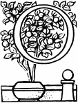 An illustration of the letter O and a potted plant.