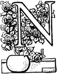 An illustration of the letter N and a potted plant.