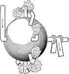 A simple steam turbine by Hero of Alexandra during first century AD. The turbine consists of a hollow sphere and pipes. Steam enters the hollow ball, and exits at the pipe around the equator. This then turns the sphere turbine.
