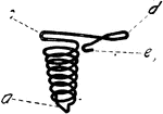 A spring in the shape of a coil.