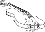 The treble instrument of the family of modern bowed instruments, held nearly horizontal by the player's arm with the lower part supported against the collarbone or shoulder.