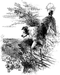 An illustration of a Sheep Dog on a hill keeping watch as the sheep pass by.