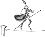 An illustration of a flea dressed in a uniform walking across a tight rope while holding a stick.