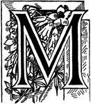 The letter M with a floral design.