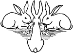A drawing of three rabbits.