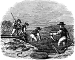 "These fishermen chanced a large haul to make, / Were fearful lest the fish their net would break; / Down in the water plunge, make sure their net, / The fish they seize; they care not for the wet."&mdash;Barber, 1857