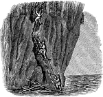 "The sailors' chance of life appears but small, / Between the sea and that high rocky wall, / But, full of hope, they look along the shores, / And find some cordage with some broken oars; / Of broken twigs they find a scanty stock, / Of these a ladder's made to climb the rock."&mdash;Barber, 1857