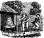 "This foolish, wayward youth, on mischief bent, / Disturbs a hive - this fun, he'll soon repent; / The bees fly quickly out, they sting him sore, / He wisdom learns, and touches bees no more. / The other boy, at a safe distance, more wise, / Sees trouble brewing - from the spot he flies."&mdash;Barber, 1857