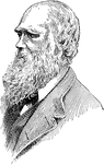 An English naturalist who established that all species of life have descended over time from common ancestry. He proposed the theory of natural selection and evolution.