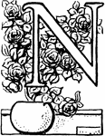 A floral capital letter N.