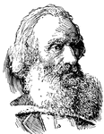 (1816-1892) Scoto-Canadian educator and archeologist