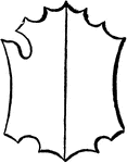 A bouche shield with a decorative trim and a per pale division.
