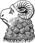 "Head of ram, from the monument to Abbot Ramryge."&mdash;Aveling, 1891