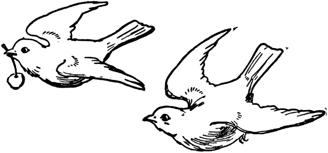 2 blue bird drawings | Image