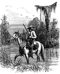 Cowboy on horseback traveling through a swamp in the south central states.