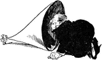 A cartoon of a man sticking his head inside of a horn, which is being held by a small person.
