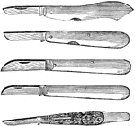 Some blades, such as the first two, are made with a rounded point to cut the bark without the knife entering the wood underneath. The middle two knives are made with the edge of the knife carrying to a point and are used for ordinary purposes. The last knife has a piece of ivory inserted for opening the bark.