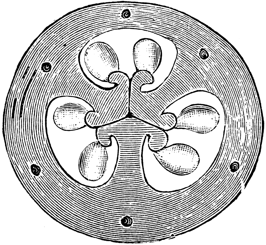 cross-section-of-ovary-of-flower-of-iris-clipart-etc